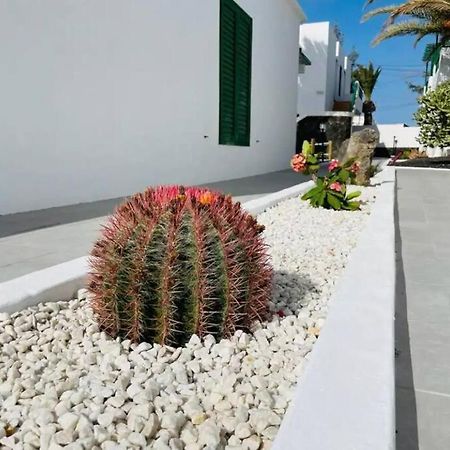 דירות פוארטו דל כרמן Refugio Del Caracol מראה חיצוני תמונה
